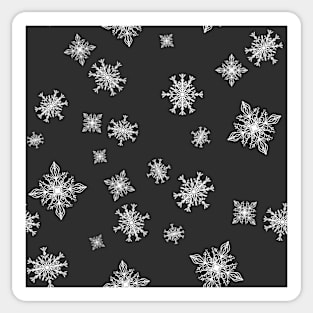 Black and White Snowflake pattern Sticker